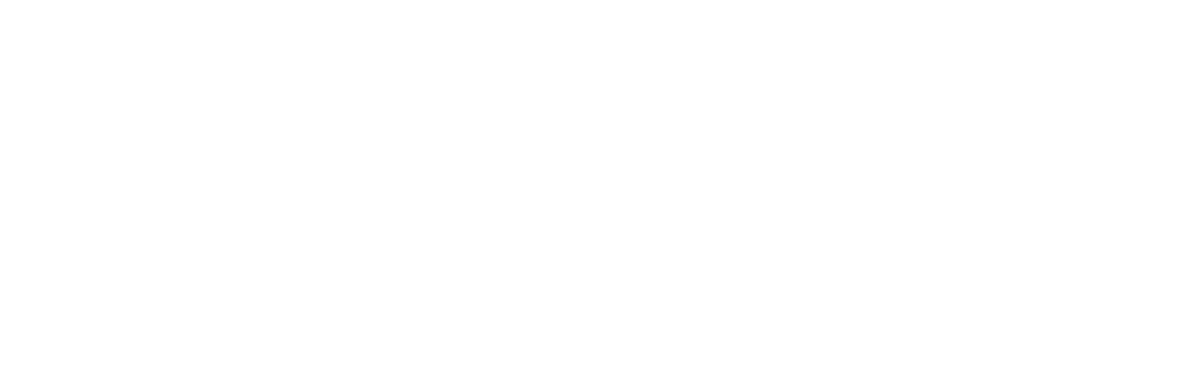 Logo Accomazzi.net
